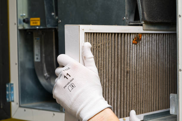 Best Local Air Duct Cleaning Services  in Metamora, IL